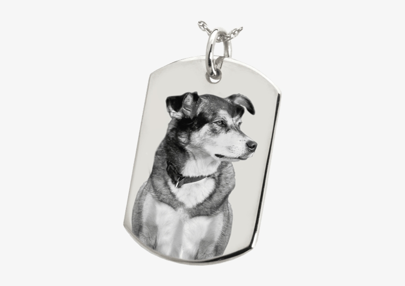 925 Silver Pet Photo Dog Tag - Actual Pawprint Or Noseprint Flat Dog Tag Pendant (2, transparent png download
