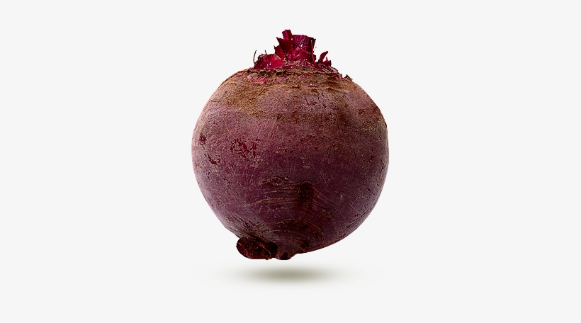 Beet 1494638105 - Betterave Png, transparent png download