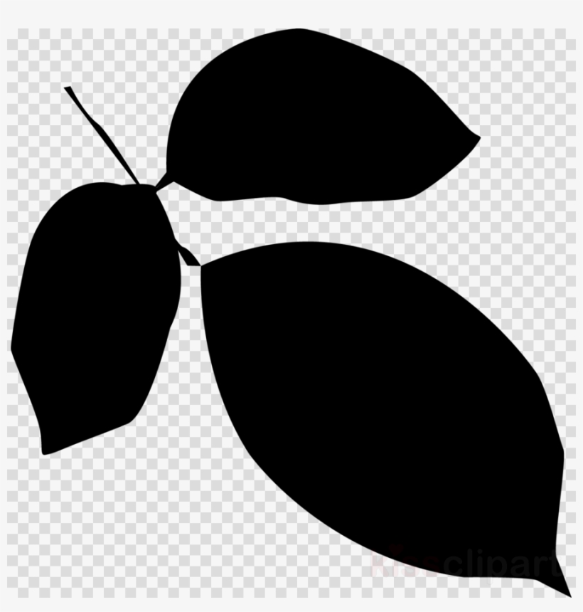 Leaf Silhouette Vector Png Clipart Leaf Silhouette - Vector Graphics, transparent png download