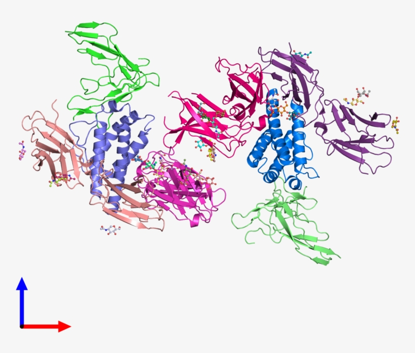 Ribbon Structure Of 2erj - Il-2 Sturmovik, transparent png download