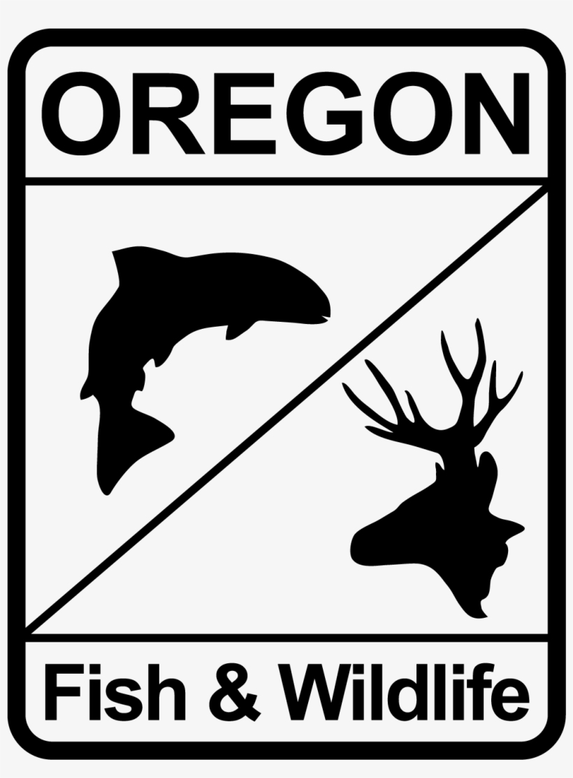 Odfw Fixes Glitches - Oregon Fish And Wildlife Logo, transparent png download