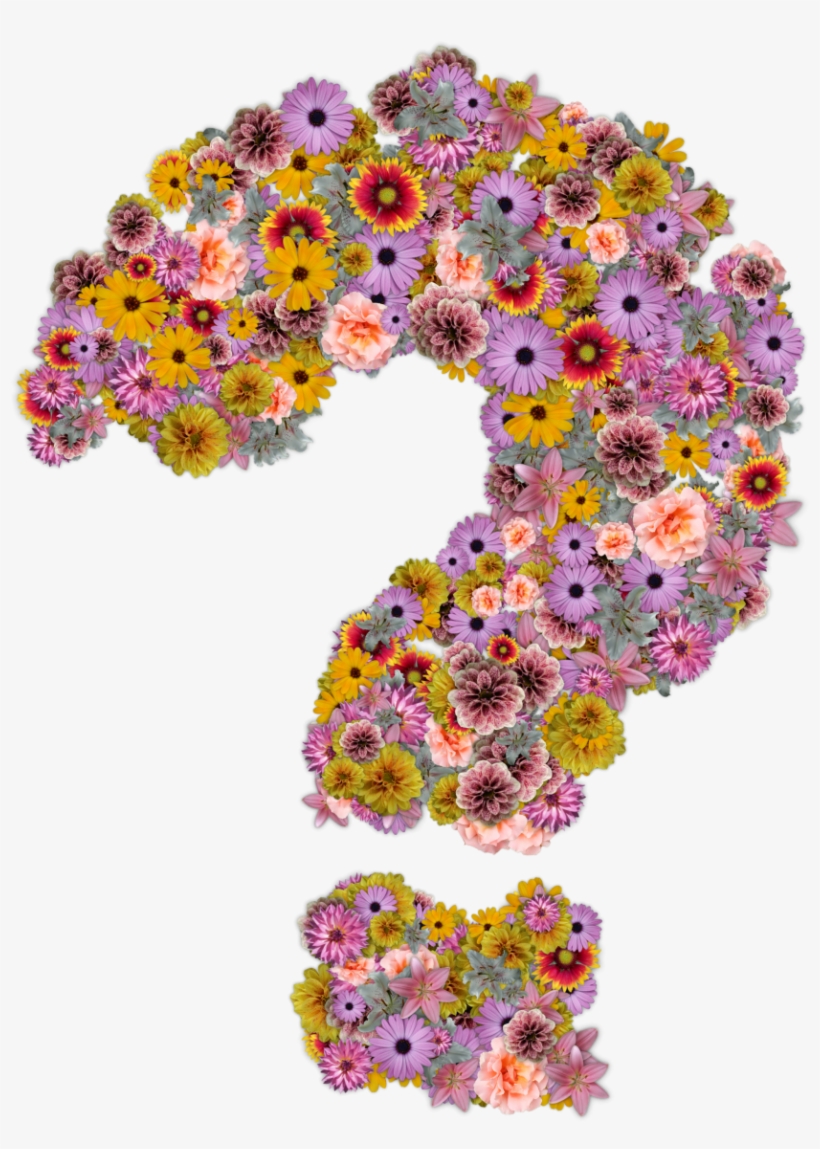 Point D' Interrogation - Flower With Question Mark, transparent png download