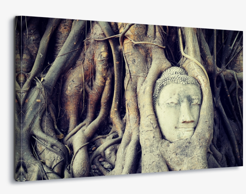 Buddha Tree Root Canvas Amp Glass Wall Art - Ayutthaya Kingdom, transparent png download