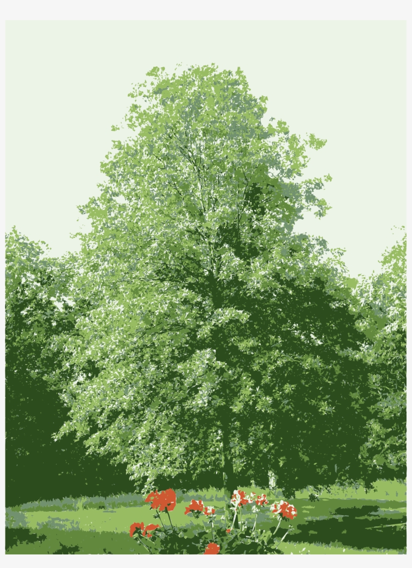 This Free Icons Png Design Of Tree At My Parents Missouri, transparent png download