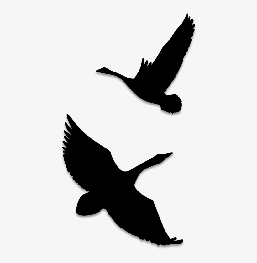 Birds Silhouettes Art & Islamic Graphics - Silhouette, transparent png download
