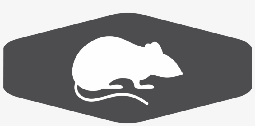 Services Gray Lg Padded Rodent, transparent png download