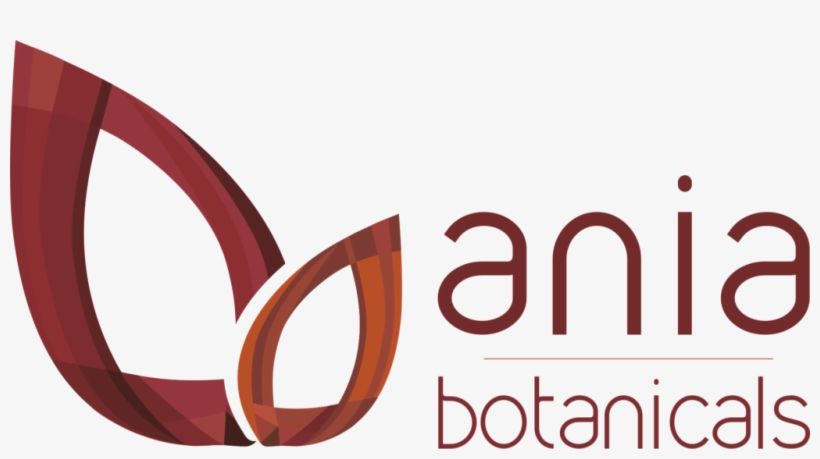 Web En Construcción - Construction, transparent png download