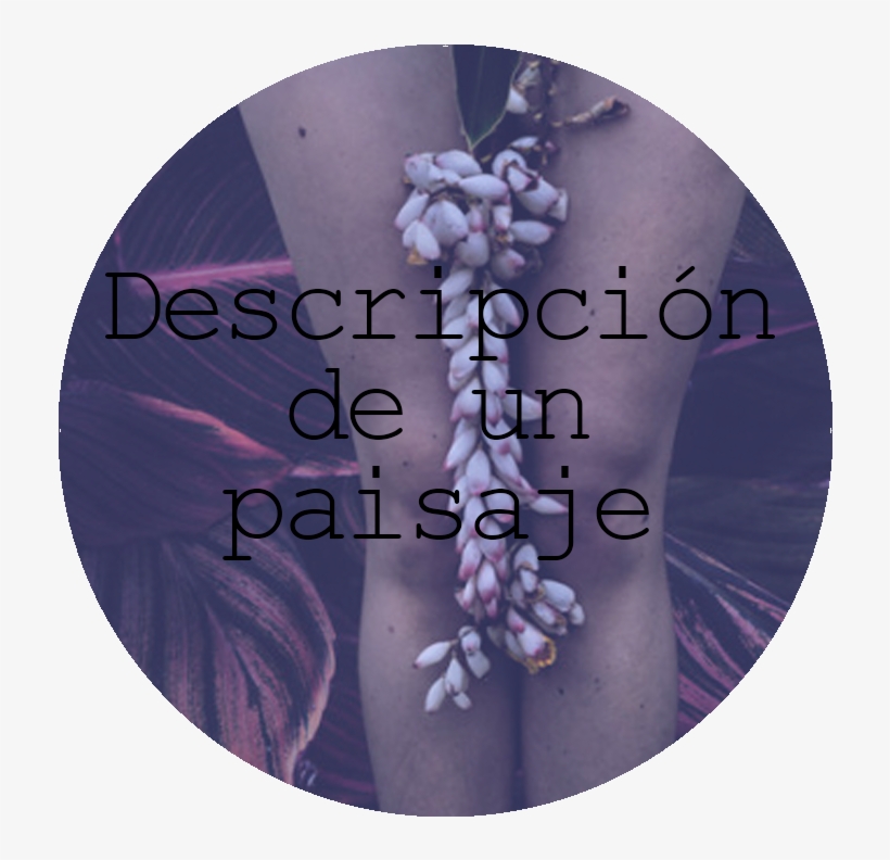 Photographer, transparent png download