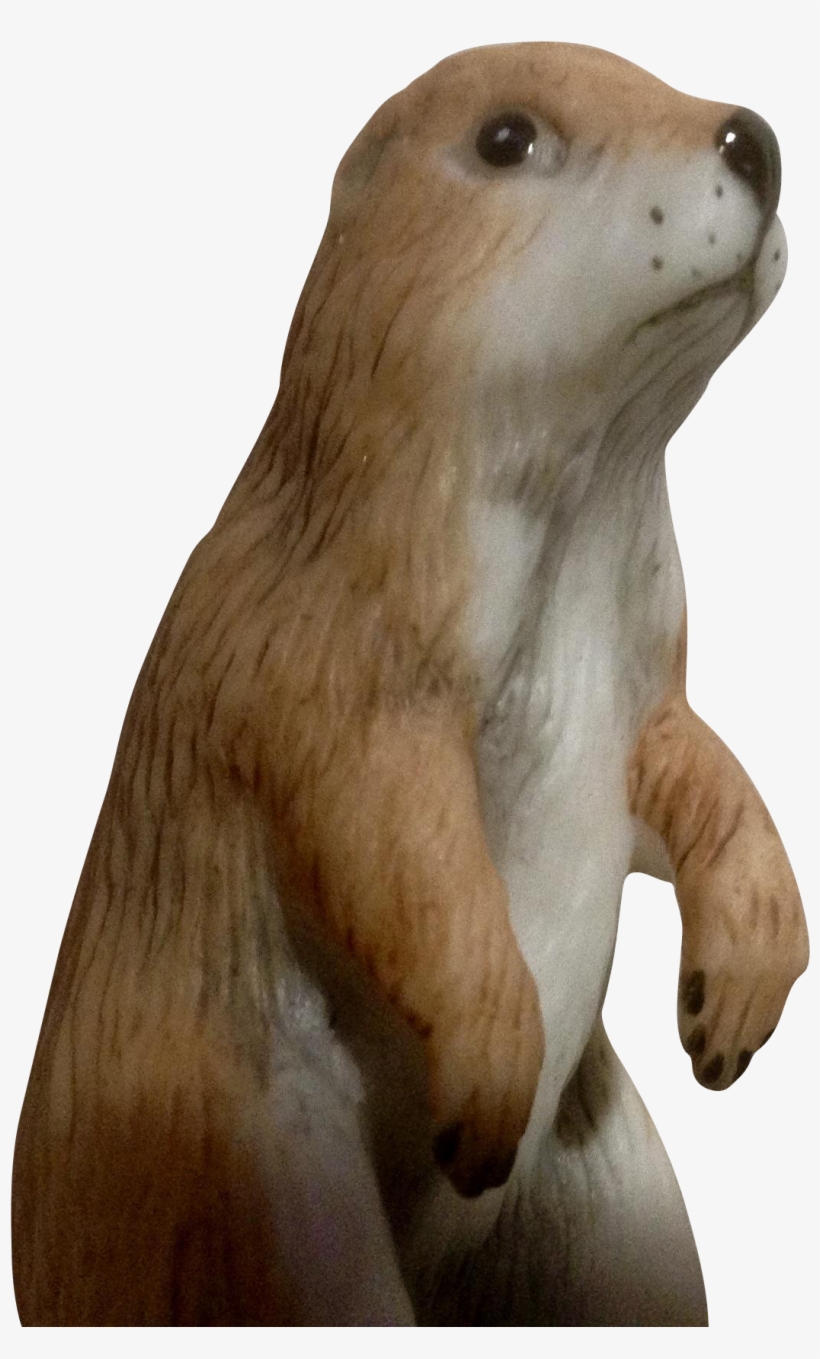 Prairie Dogs Png Picture Free - Png Prairie Dog, transparent png download