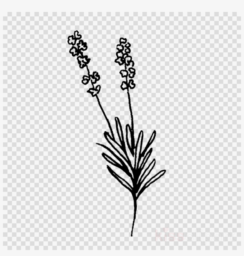 Lavender Stamp Clipart Rubber Stamp Lavender Postage - Postage Stamp, transparent png download