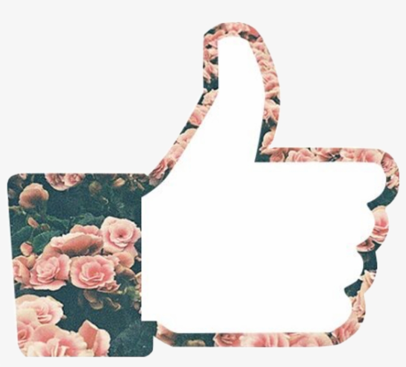 Like Thumbsup Flowers Tumblr Roses Pink Freetoedit, transparent png download