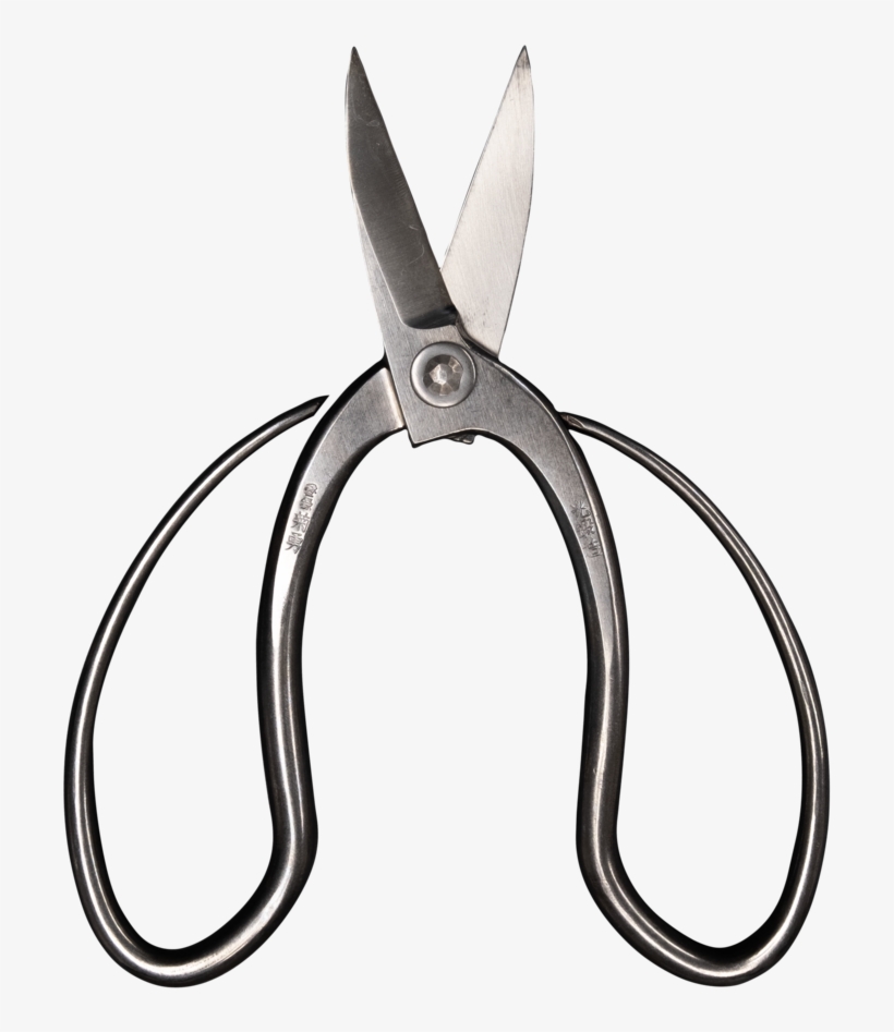 Morihei Kikuyu Stainless Bonsai Pruning Shears 180mm - Cutting Tool, transparent png download