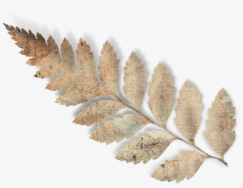 Scrap Bautizo Png, transparent png download