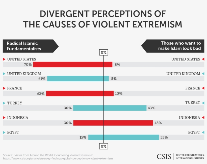 Countering Violent Extremism - Sigla Umf Cluj, transparent png download