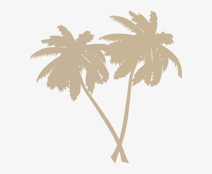Coconut Tree Png Black, transparent png download