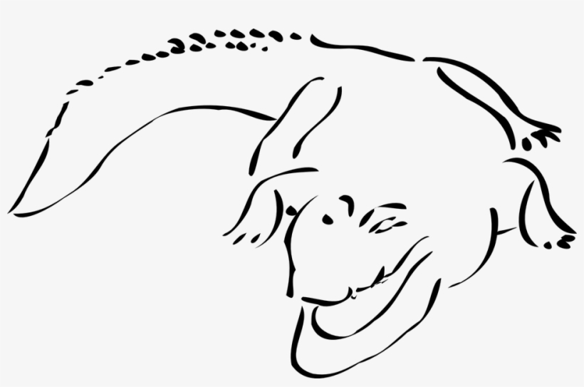 Swamp Clipart Crocodile Swamp - Gator Clipart Black And White, transparent png download
