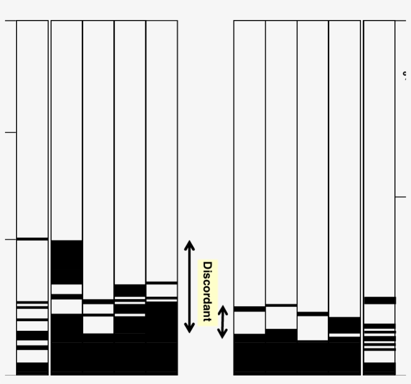 Concordance Between Tgab Assays And Tg Recovery - Architecture, transparent png download