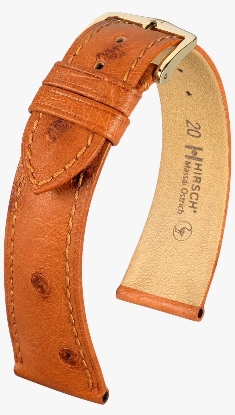 Experience Our Finest Bracelets - Hirsch Massai Ostrich 20mm, transparent png download
