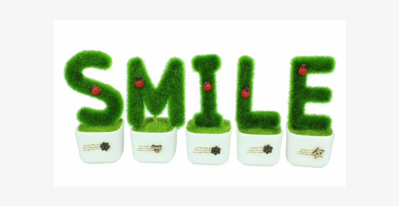 Itoshi Love Shape Decorative Hedge For Party Wedding - Plant, transparent png download