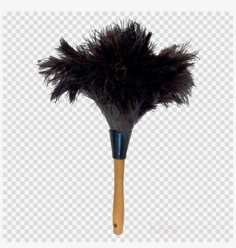 pix Feather Duster Clipart Black And White download ostrich feather duster png