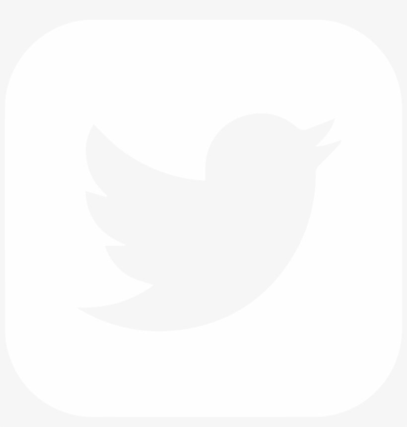 Social Icon Social Icon Social Icon - Twitter Png High Quality, transparent png download