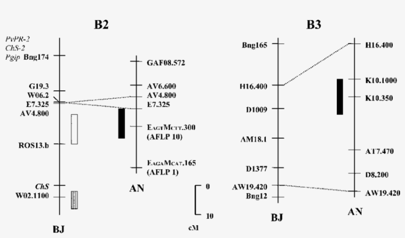Integration Of Partial Linkage Groups In Aztec/nd88 - Quantitative Trait Locus, transparent png download