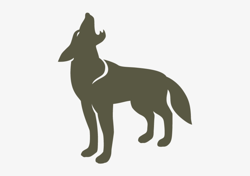 Experience Our Exhibits - Gift, transparent png download