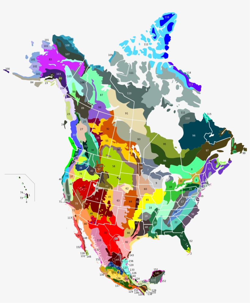 Terrestrial Ecoregions Of North America - Canada, transparent png download