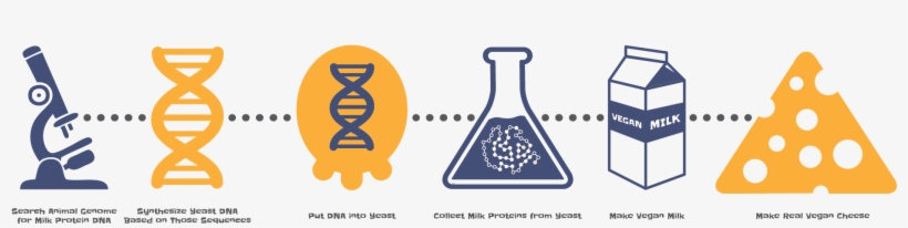 Milk To Cheese, transparent png download