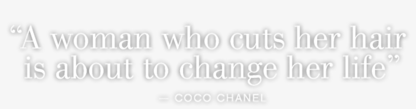 Meet The Talented Team Behind Rz & Company, transparent png download