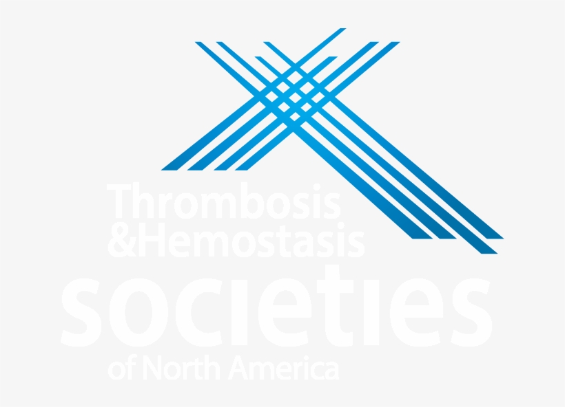 Join Us At The 5th Biennial Summit Of The Thrombosis - Bean Bag, transparent png download