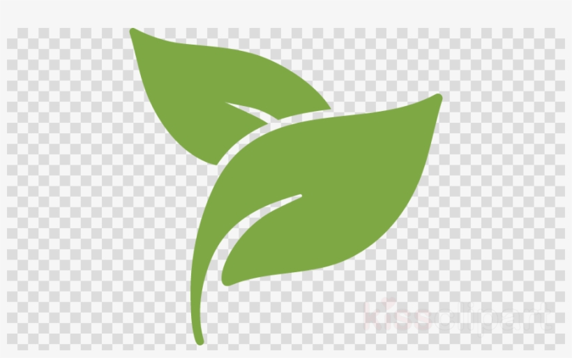 Coffee Cup Icon Png Clipart Computer Icons Royalty-free - Clip Art, transparent png download