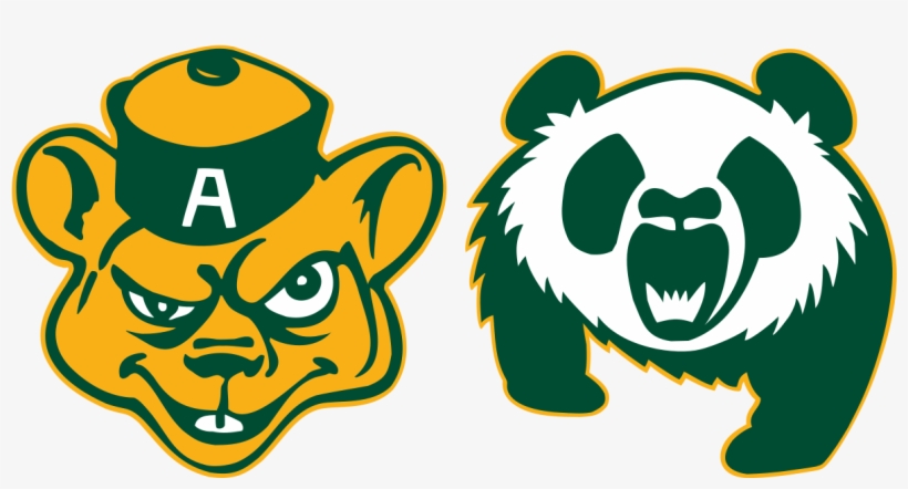 Golden Bears And Pandas, transparent png download
