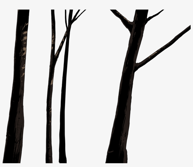 And Future Populations Will Owe Their Continued Success - Tree, transparent png download