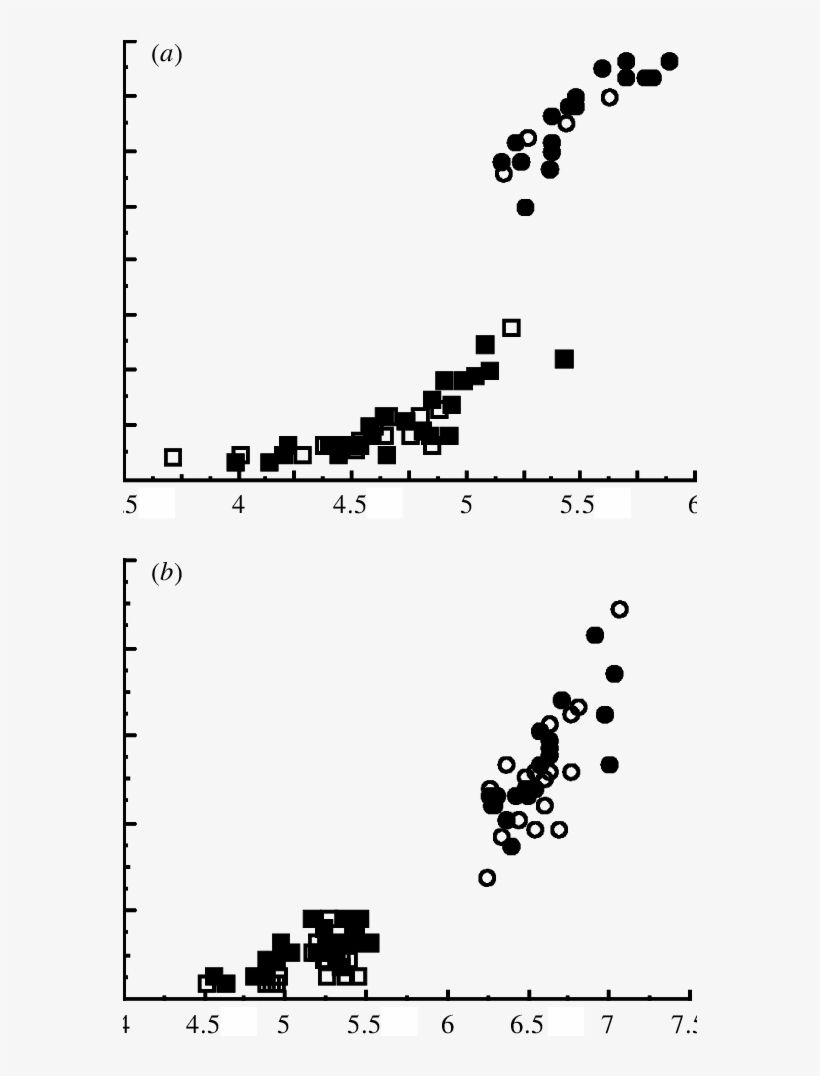The Relationship Between The Male Pronotum Width And - Diagram, transparent png download