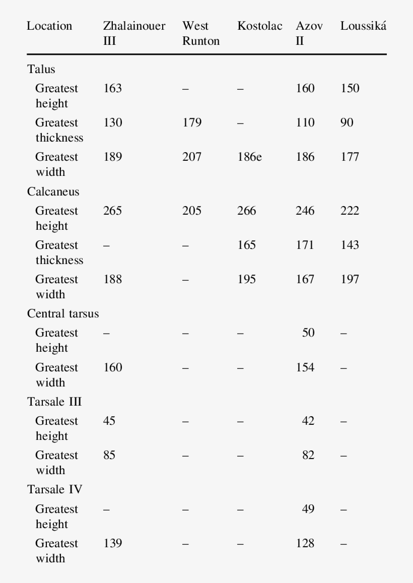 Measurements Of Tarsal Bones Of The Zhalainuoer Iii - Document, transparent png download