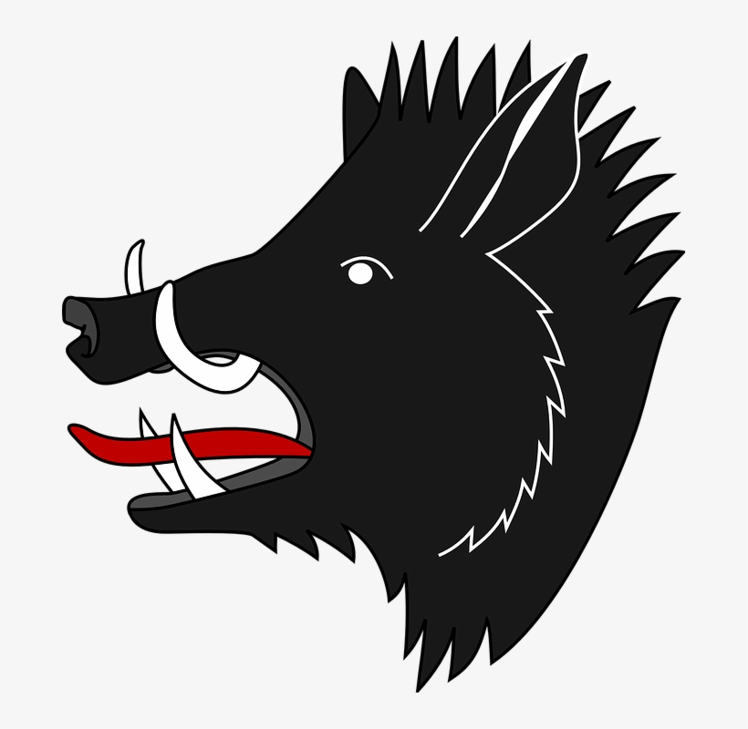 Boar Icon Png Wild Boar Coat Of Arms Transparent PNG 683x720 Free