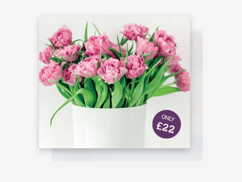 Care & Arrangement Tips Available - Tulip, transparent png download