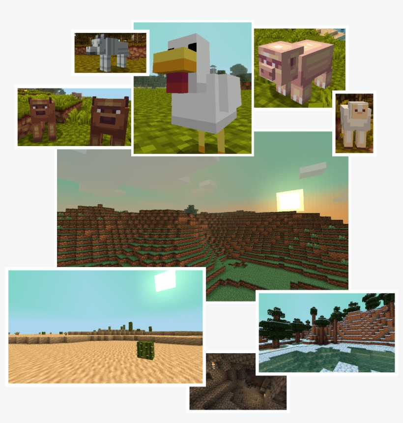 House, transparent png download