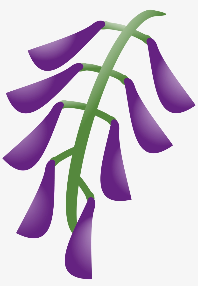 Wisteria Package - Graphic Design, transparent png download