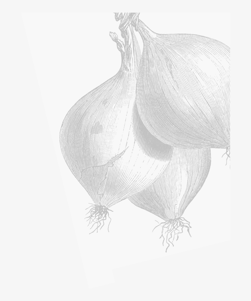 Asparagus With Sauce Gribiche - Cook's Companion [book], transparent png download