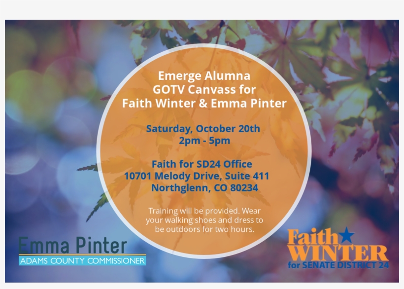 Emerge Alumna Canvass For Faith Winter And Emma Pinter - Snow Leia Feind Des Peace Imperiums, transparent png download