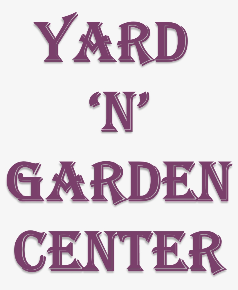 Teleflora's White Lace Centerpiece In Fenton Mi - Paris: Coloring Book Vol.4: Relieve Stress, Create, transparent png download