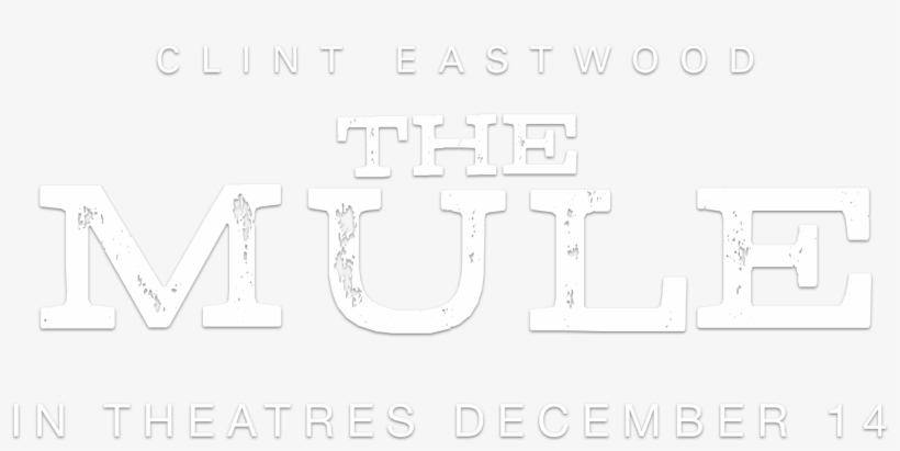 Video, transparent png download