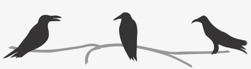 Lawrence Jw Cooper - Lawrence J.w. Cooper, transparent png download