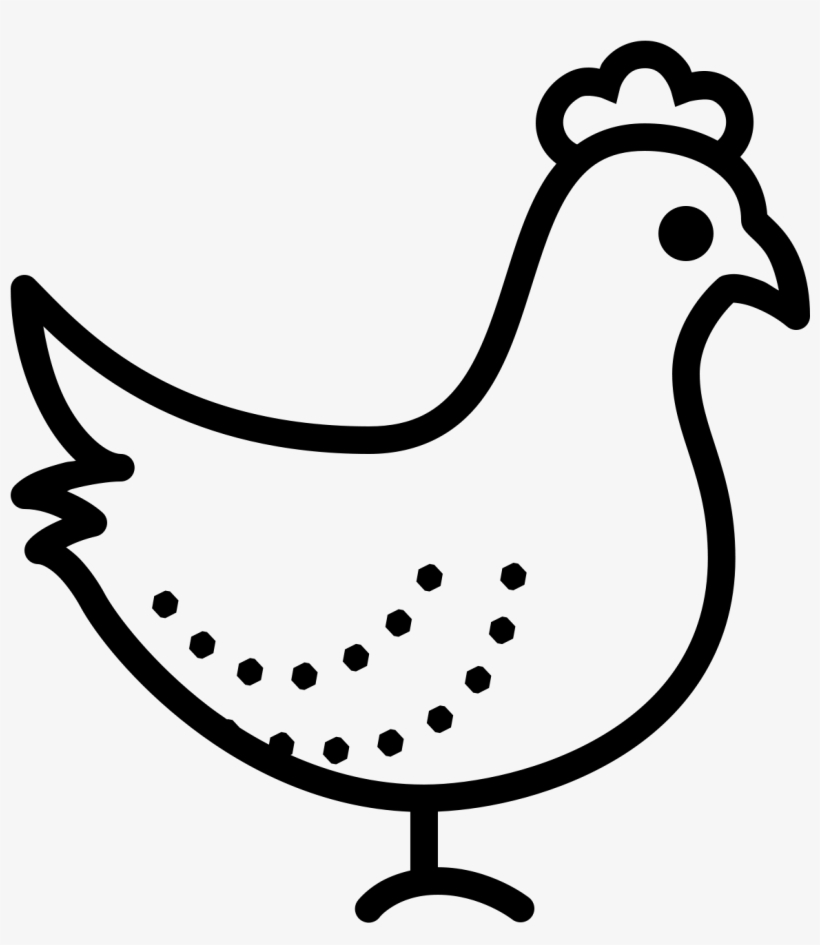 A Plump, Feathered Animal Sits On Tiny Feet - Chicken, transparent png download