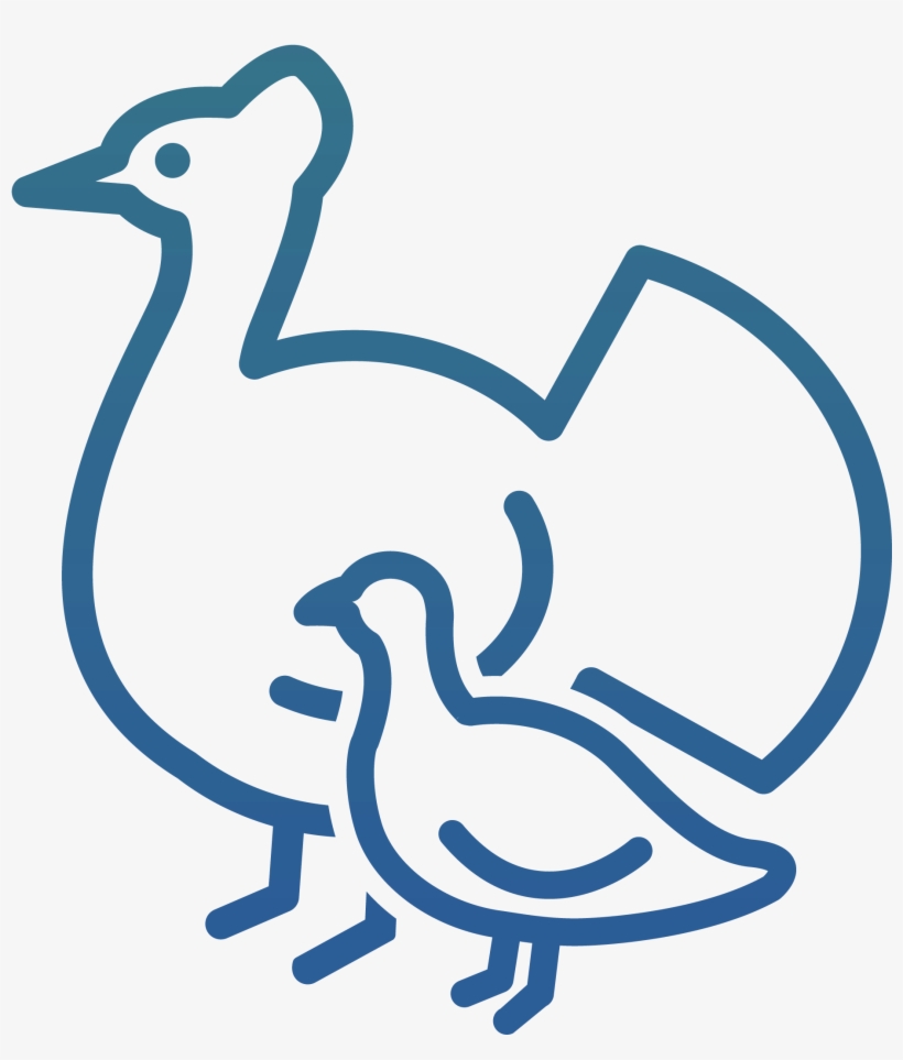 Icon Poultry & Egg Production - Poultry, transparent png download