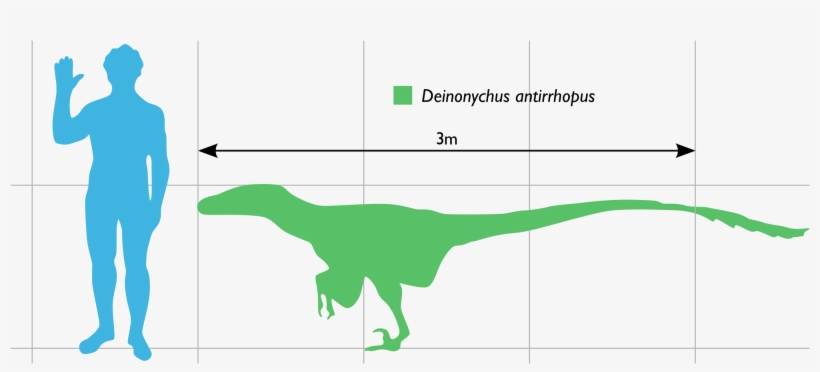 Open - Size, transparent png download