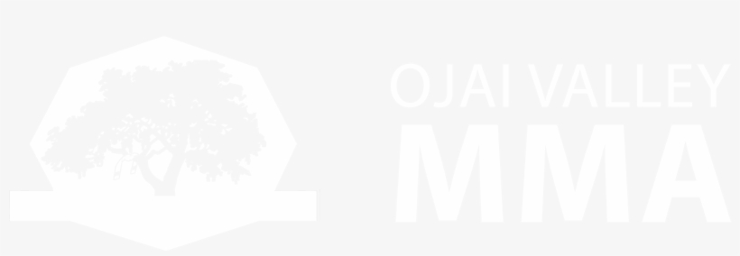 Follow Us - Tree, transparent png download
