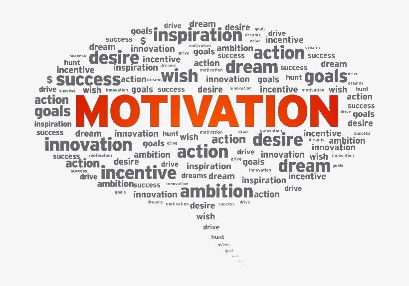 Tal Assa Personal Fitness Training Amsterdam Amstelveen - Mitarbeitermotivation Als Leistungsanreiz, transparent png download